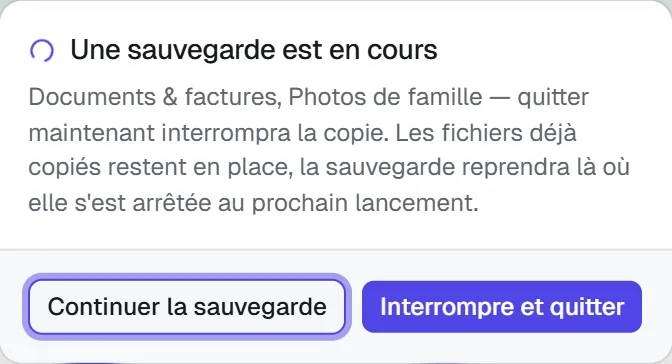 Fenêtre « Une sauvegarde est en cours » : Continuer la sauvegarde ou Interrompre et quitter.